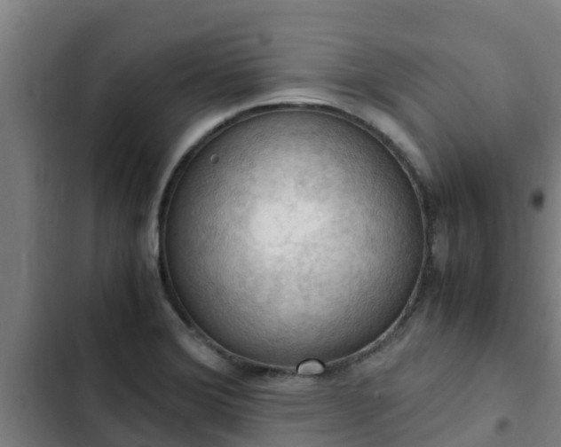 X0000103141372200808291329