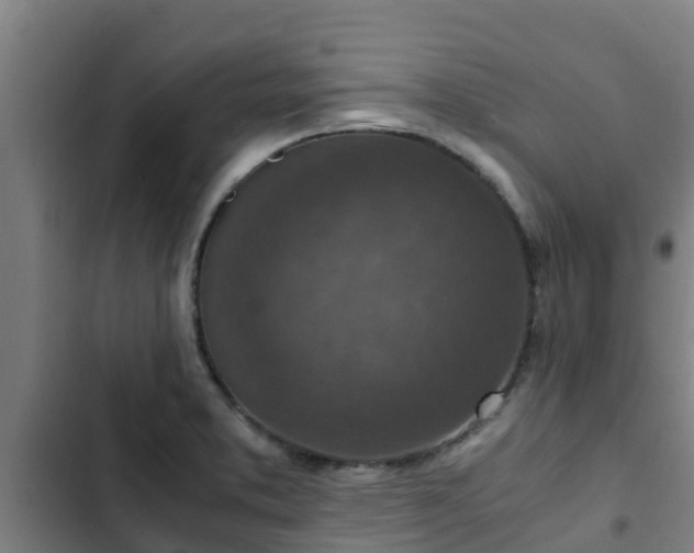 X0000103141373200808291329