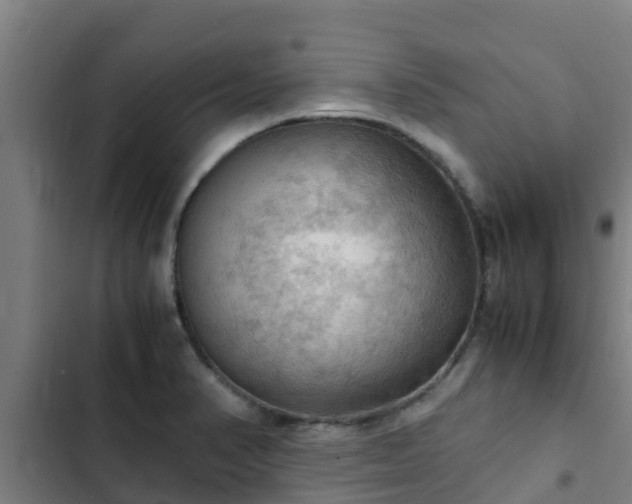 X0000103141374200808291329