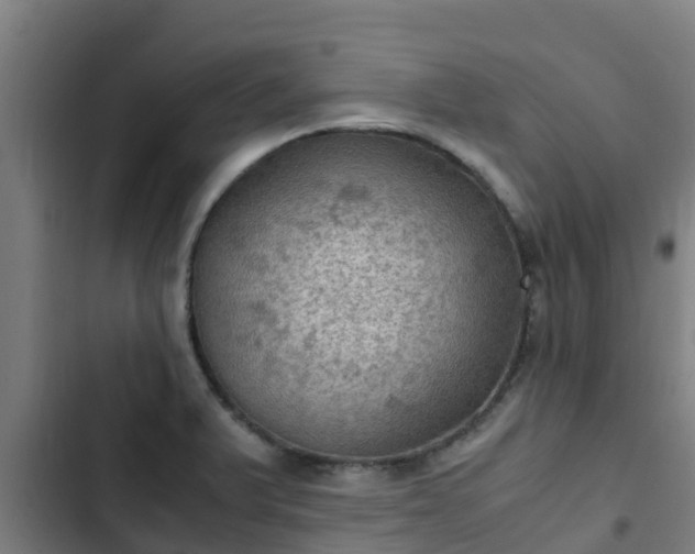 X0000103141375200808291329