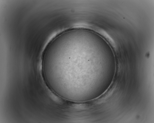 X0000103141376200808291328