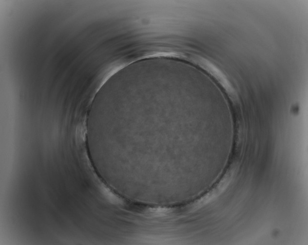 X0000103141377200808291328