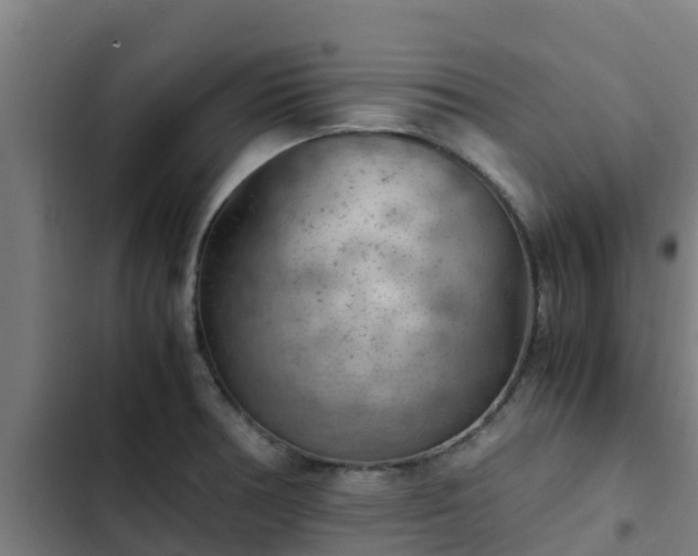 X0000103141378200808291328