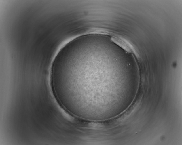 X0000103141379200808291328