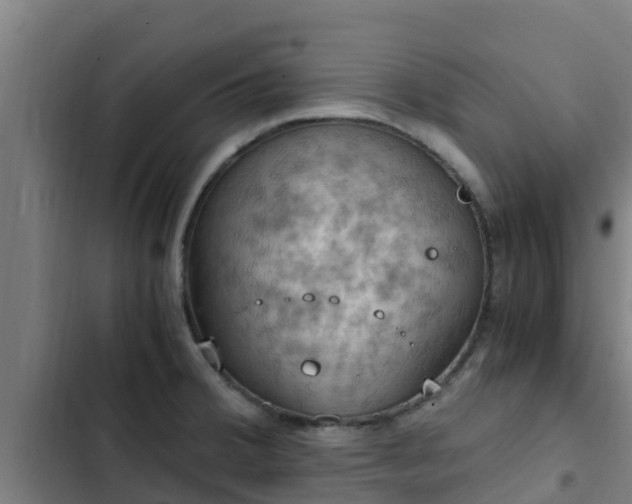 X0000103141380200808291328