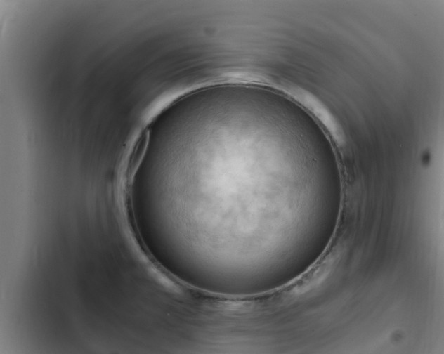 X0000103141381200808291328