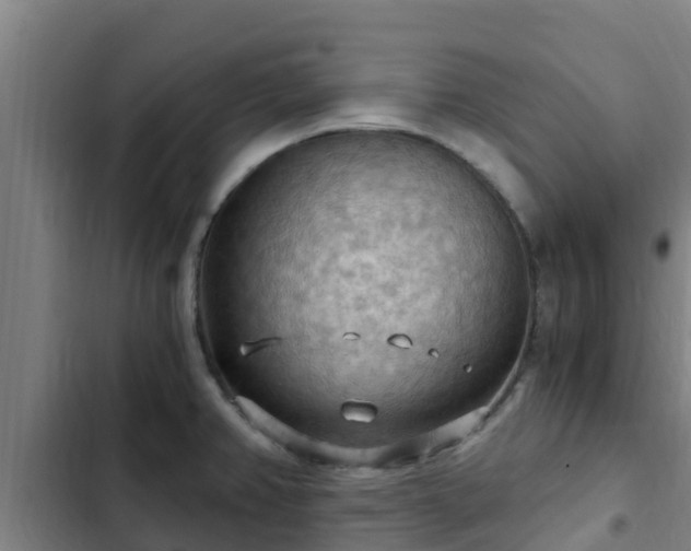 X0000103141382200808291328