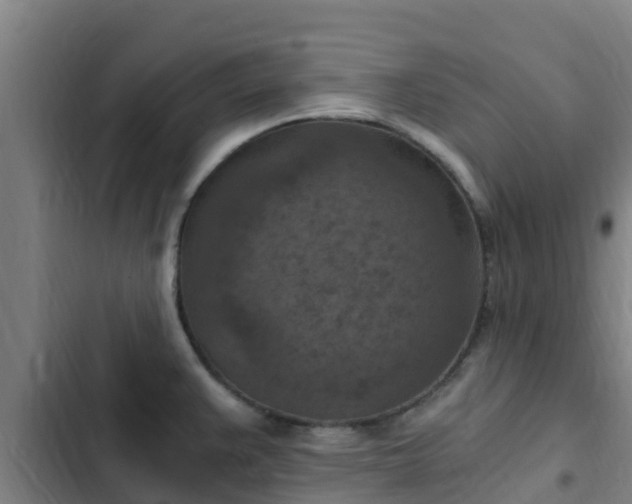 X0000103141383200808291328