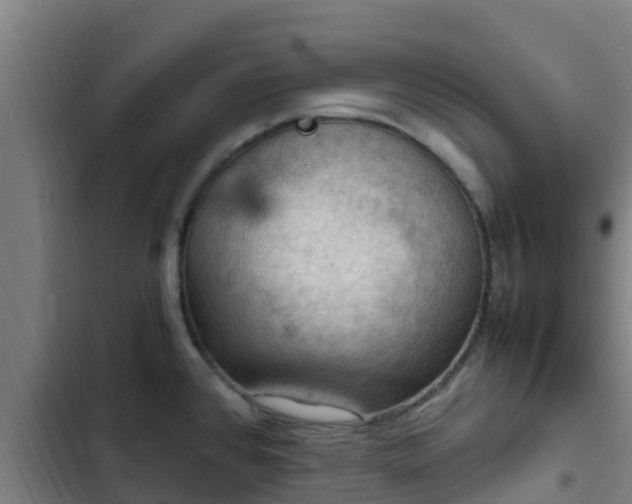 X0000103141384200808291328