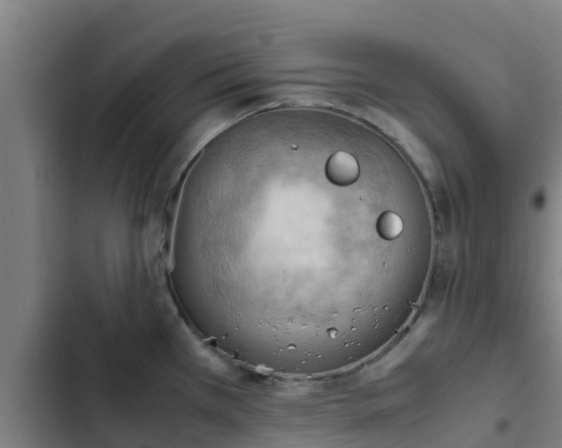 X0000103141385200808291328