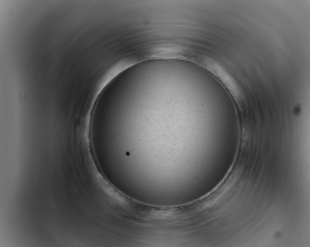 X0000103141386200808291328