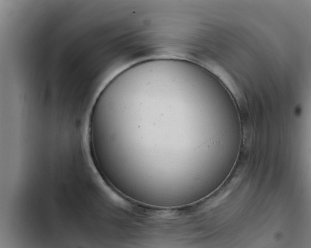 X0000103141387200808291328