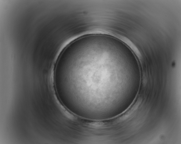 X0000103141388200808291328