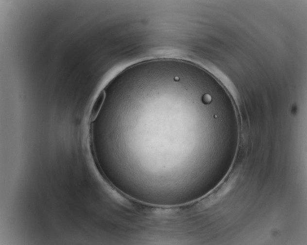 X0000103141389200808291328