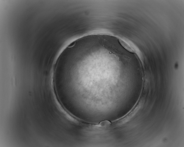 X0000103141390200808291328