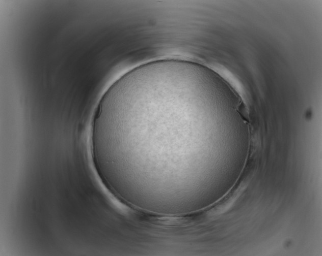 X0000103141391200808291328