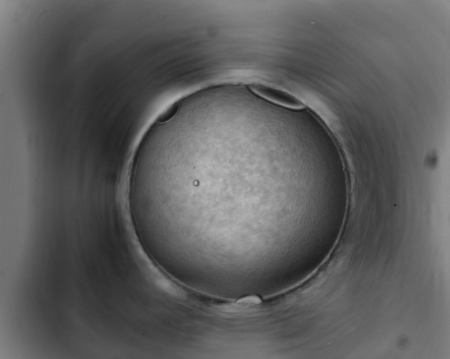 X0000103141392200808291328