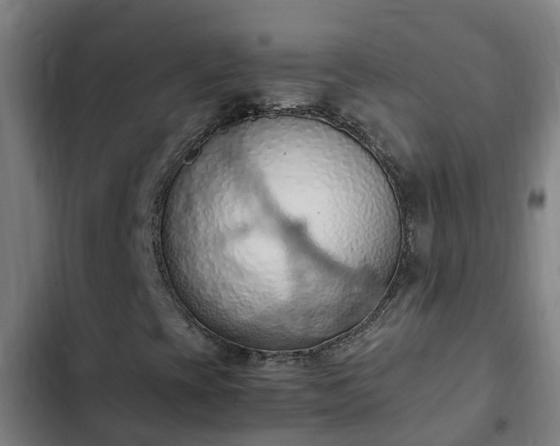 X0000103141393200808291328