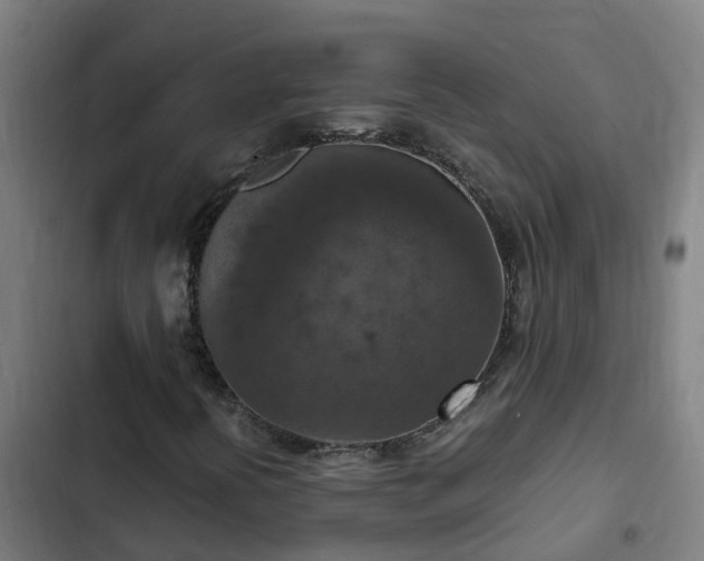 X0000103141394200808291328