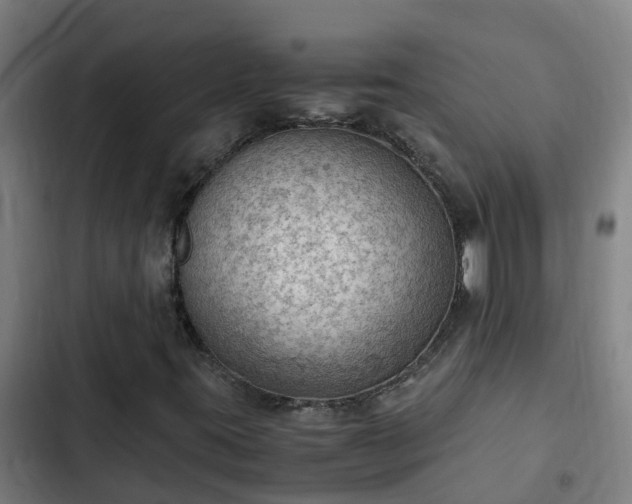 X0000103141395200808291328