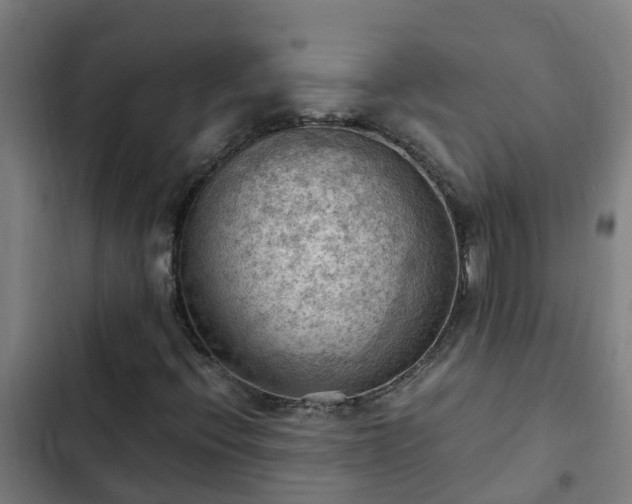 X0000103141396200808291328