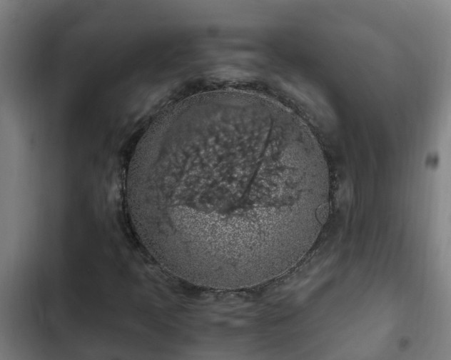 X0000103141397200808291328