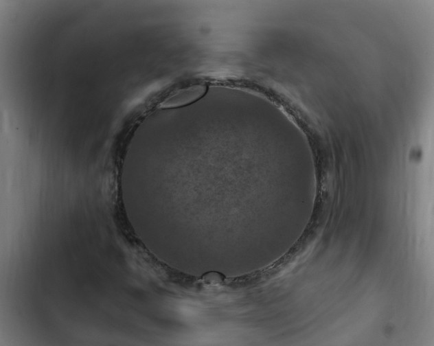 X0000103141398200808291328