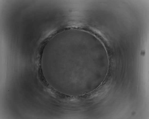 X0000103141399200808291328