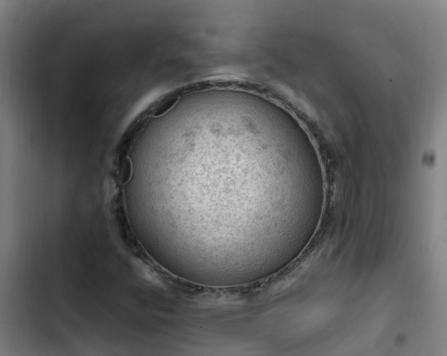 X0000103141400200808291328