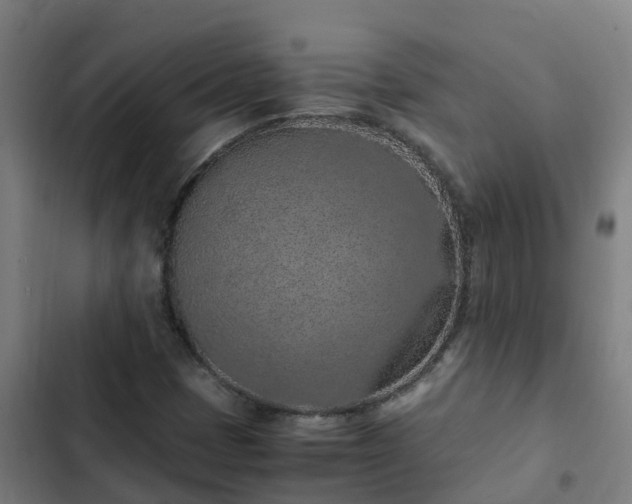 X0000103141401200808291328