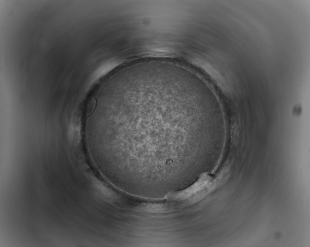 X0000103141402200808291328