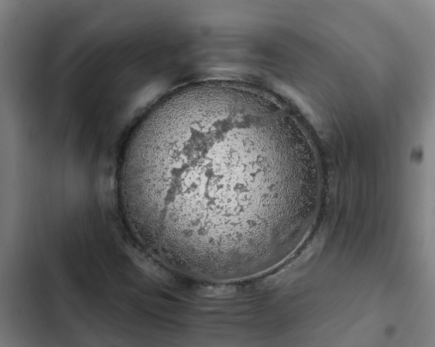 X0000103141403200808291328