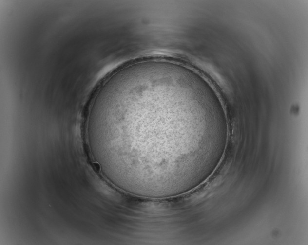 X0000103141404200808291328