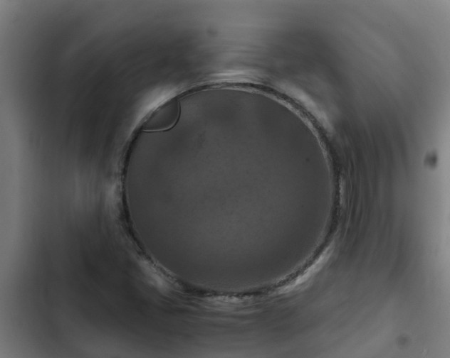 X0000103141405200808291328