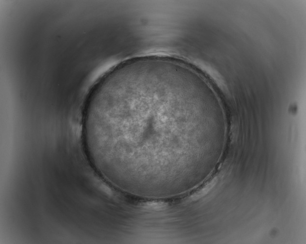 X0000103141406200808291328