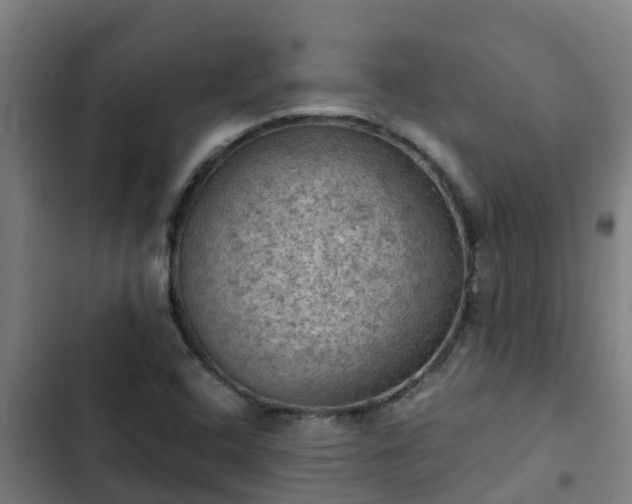 X0000103141408200808291328