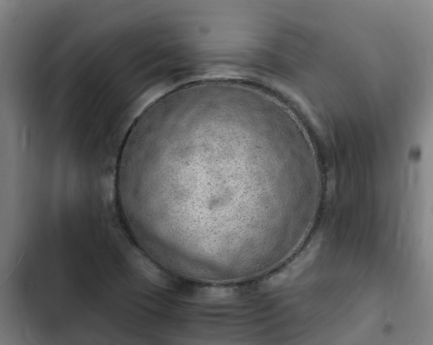 X0000103141409200808291328