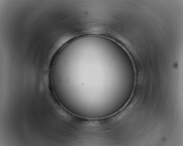 X0000103141410200808291328