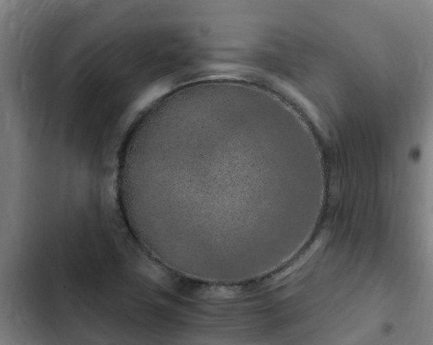 X0000103141411200808291328