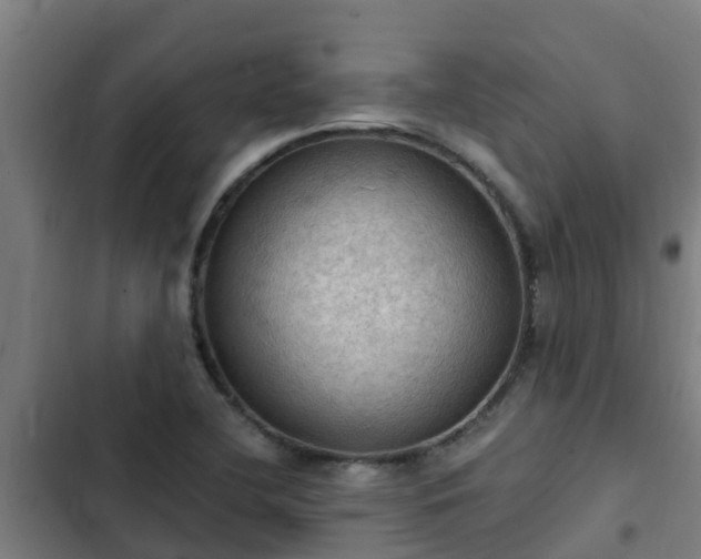 X0000103141412200808291328