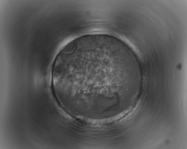 X0000103141413200808291328