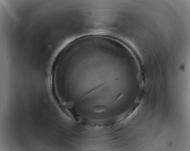 X0000103141414200808291328