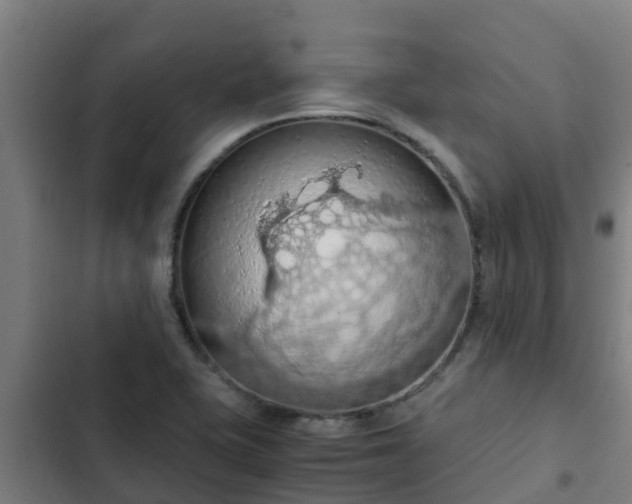 X0000103141415200808291328