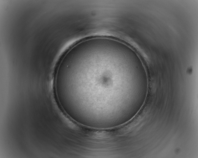 X0000103141416200808291328