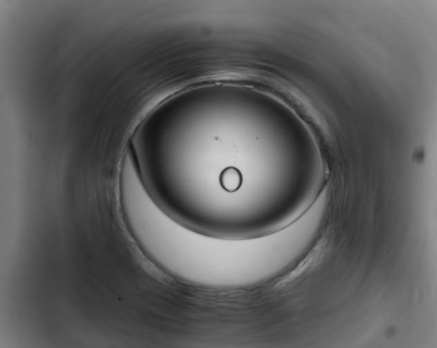 X0000103141417200808291328