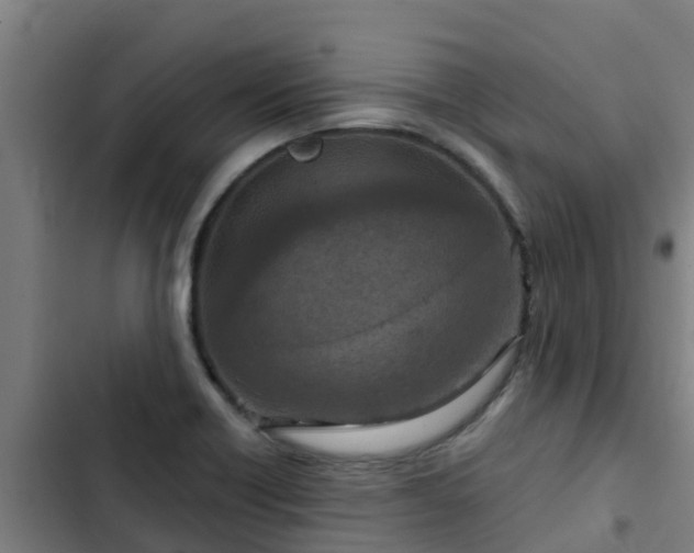 X0000103141418200808291328