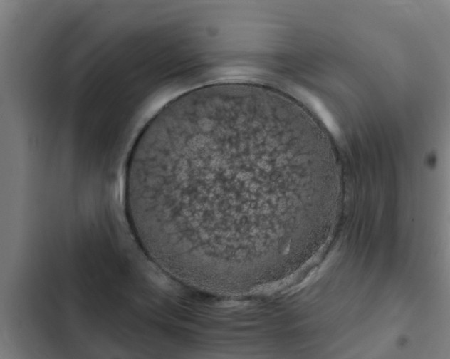 X0000103141419200808291328