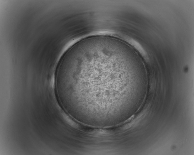 X0000103141420200808291328