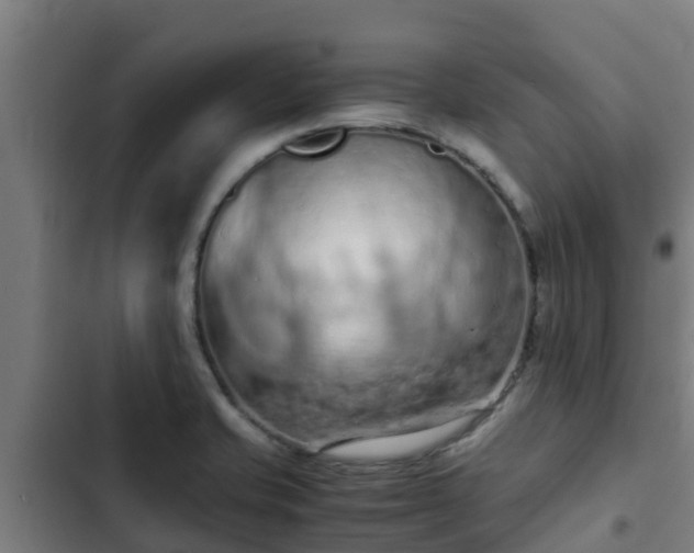 X0000103141421200808291328