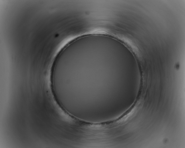 X0000103141422200808291328